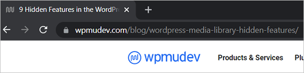 Trang web WPMU DEV sử dụng liên kết cố định tên bài đăng.