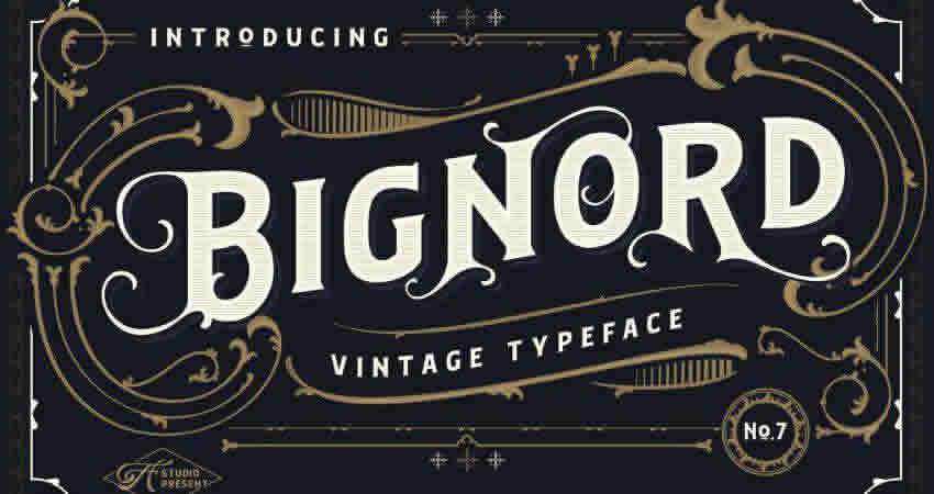 Serif Free Font Designers Creatives Bignord