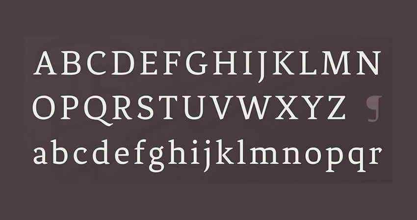 Serif Free Font Designers Creatives Fénix Regular Typeface