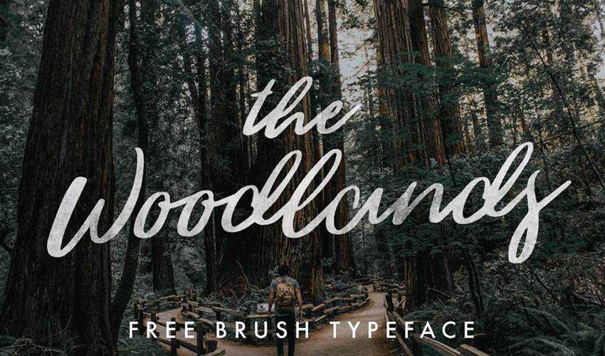 phông chữ miễn phí thư pháp typography script The Woodlands