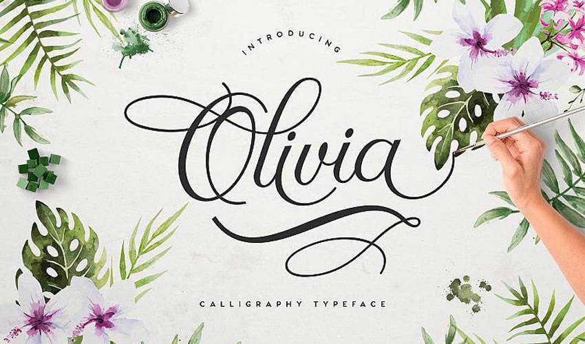 phông chữ miễn phí thư pháp typography script Olivia Script