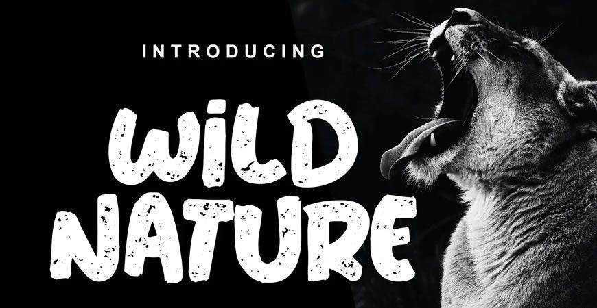 Wild Nature Clean Textured logo font typeface logotype