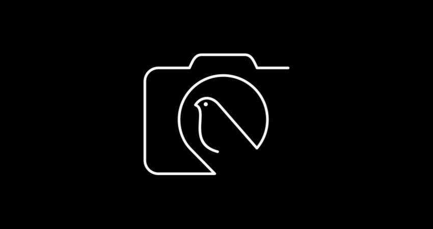 Bird Camera nhiếp ảnh gia nhiếp ảnh gia thiết kế logo cảm hứng