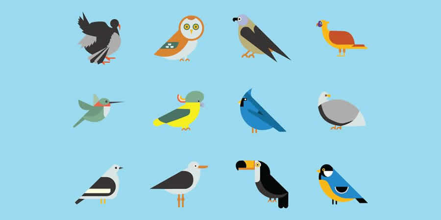 Bộ sưu tập biểu tượng các loài chim vector mùa xuân mẫu vector