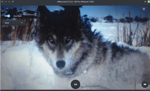 Webcamoid- Ultimate Webcam Suite